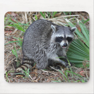 Alfombrilla De Ratón Dejarme solo