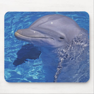 Alfombrilla De Ratón Delfín de nariz de botella, Tursiops Truncatus