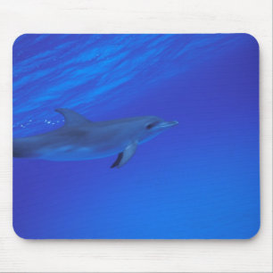 Alfombrilla De Ratón Delfín localizado en el Caribe, Bahamas