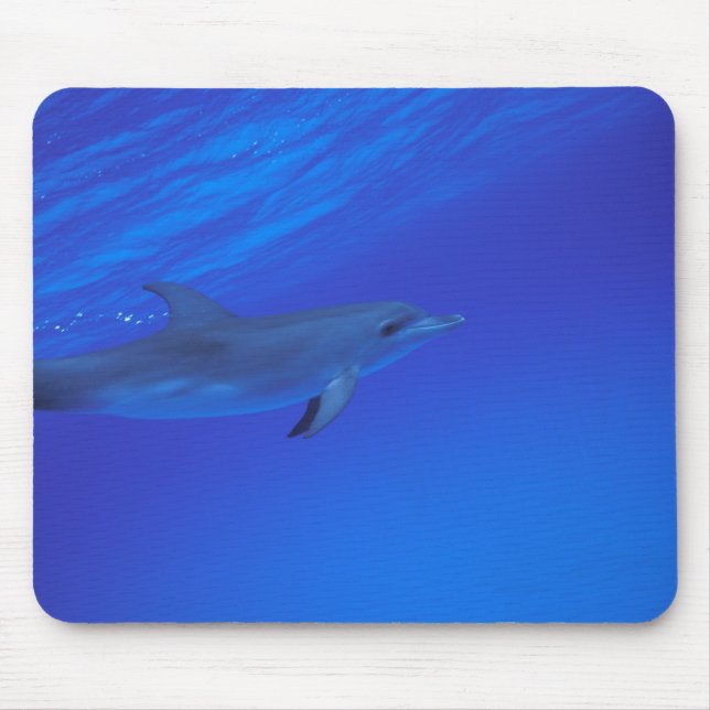 Alfombrilla De Ratón Delfín localizado en el Caribe, Bahamas (Frente)