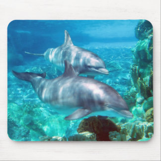 Alfombrilla De Ratón Delfín Mousepad