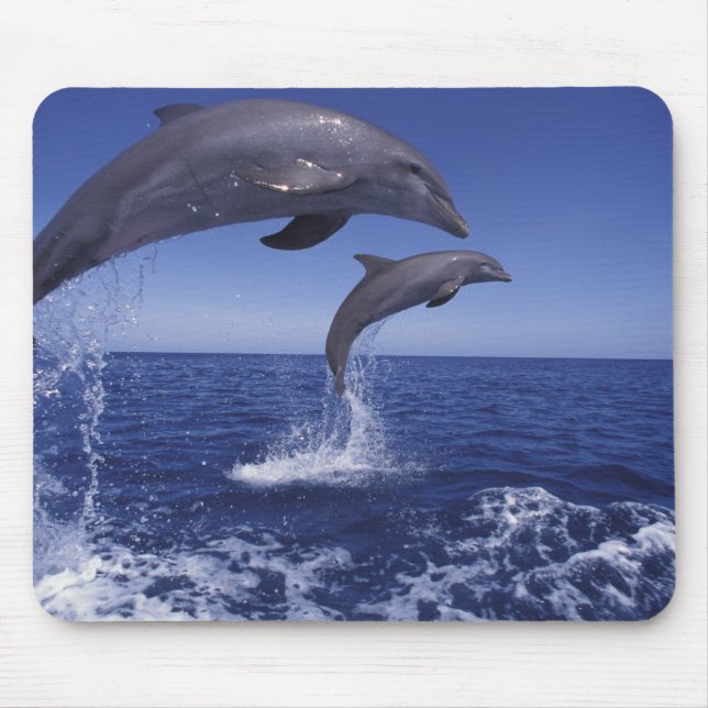 Alfombrilla De Ratón delfines de bottlenose del Caribe (Frente)