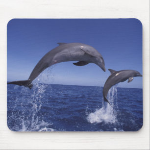 Alfombrilla De Ratón delfines del Caribe, de nariz de botella