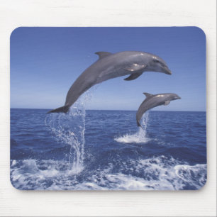 Alfombrilla De Ratón delfines del Caribe, de nariz de botella