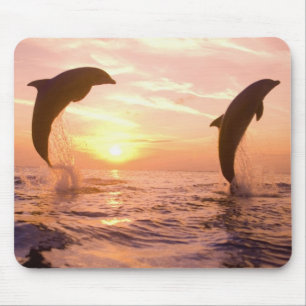 Alfombrilla De Ratón Delfines mulares Tursiops truncatus