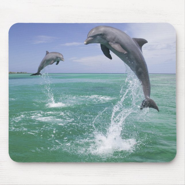 Alfombrilla De Ratón Delfines mulares Tursiops truncatus (Frente)