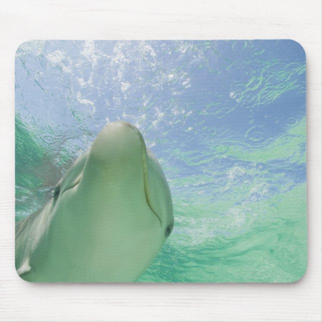 Alfombrilla De Ratón Delfines mulares Tursiops truncatus) (Frente)