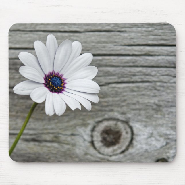 Alfombrilla De Ratón Delicate Daisy (Frente)