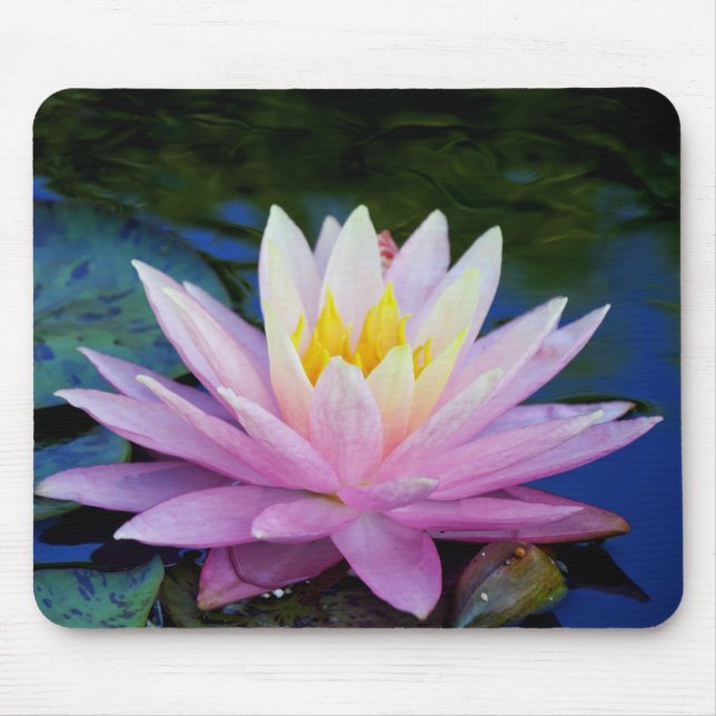 Alfombrilla De Ratón Delicate Waterlily Mousepad (Frente)
