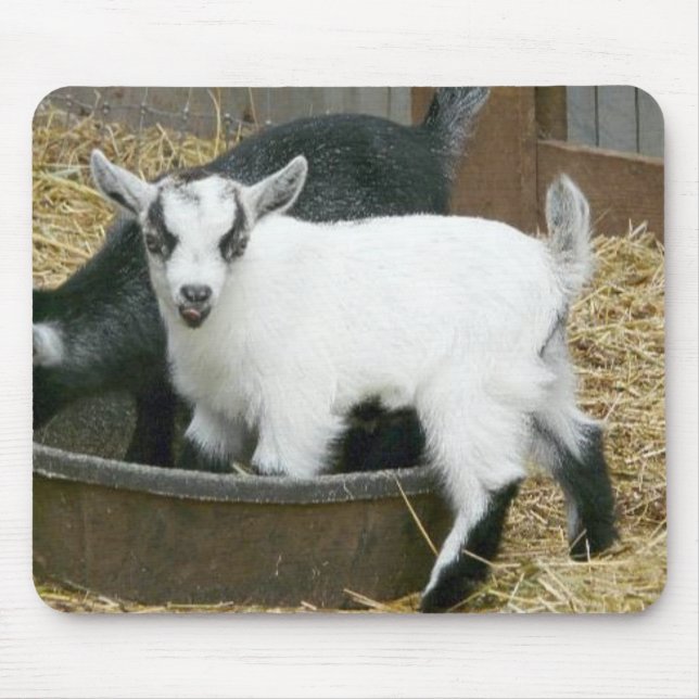 Alfombrilla De Ratón ¡Delicioso! (Frente)