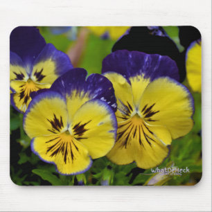 Alfombrilla De Ratón Delicioso