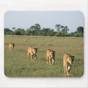 Alfombrilla De Ratón Delta de Okavango, Botswana 4