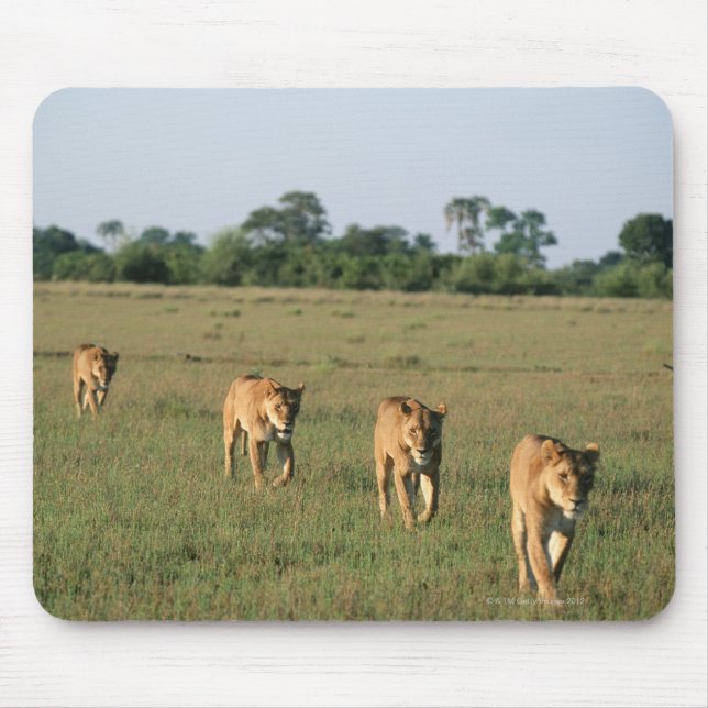 Alfombrilla De Ratón Delta del Okavango, Botsuana 4 (Frente)