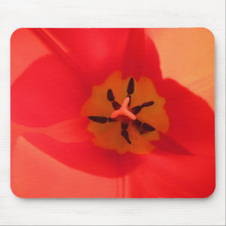 Alfombrilla De Ratón Dentro de un tulipán