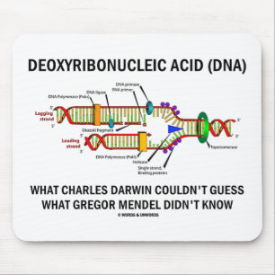 Alfombrilla De Ratón Deoxyribonucelic (DNA) Mendel ácido Darwin