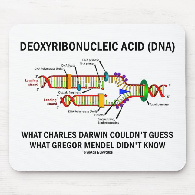 Alfombrilla De Ratón Deoxyribonucelic (DNA) Mendel ácido Darwin (Frente)