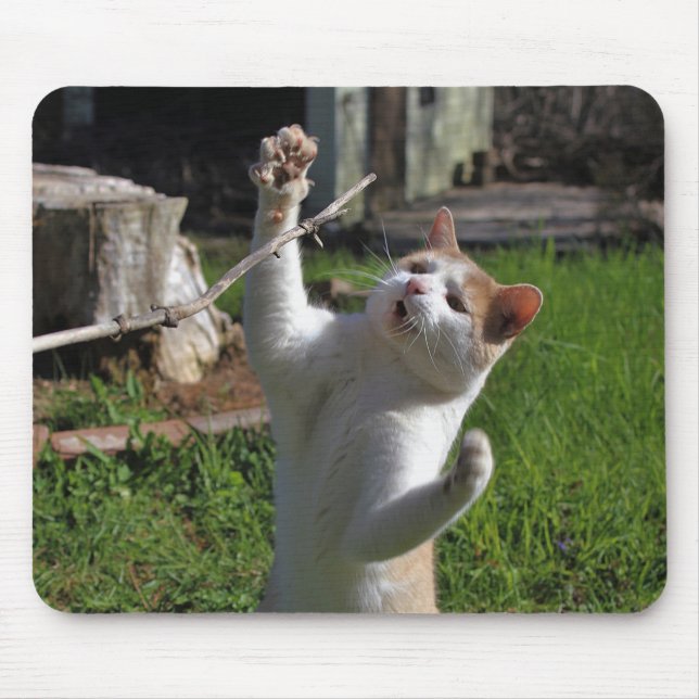 Alfombrilla De Ratón Depredador feroz (Frente)