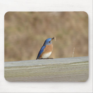 Alfombrilla De Ratón Desayuno azul del pájaro