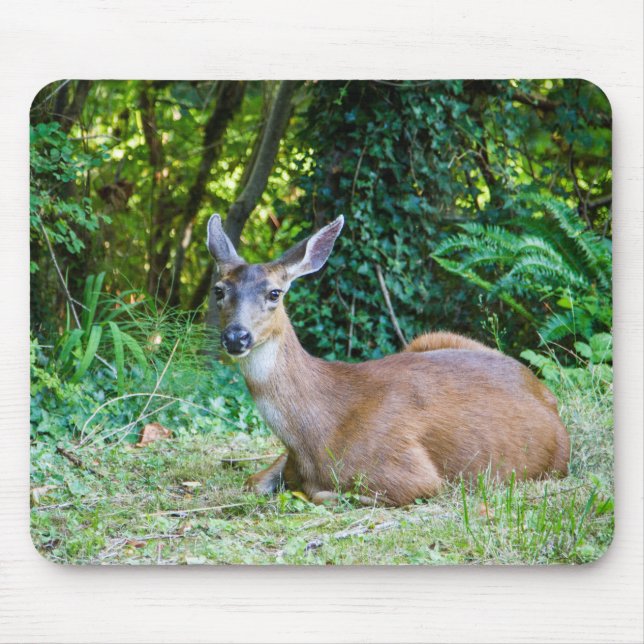 Alfombrilla De Ratón Descanso de Mousepad (Frente)