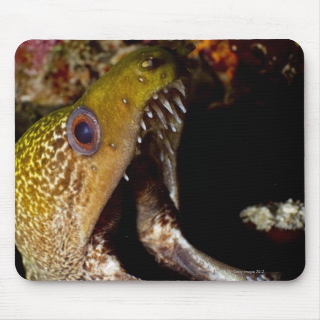 Alfombrilla De Ratón Desembocadura de un margen amarillento e intimidan (Frente)