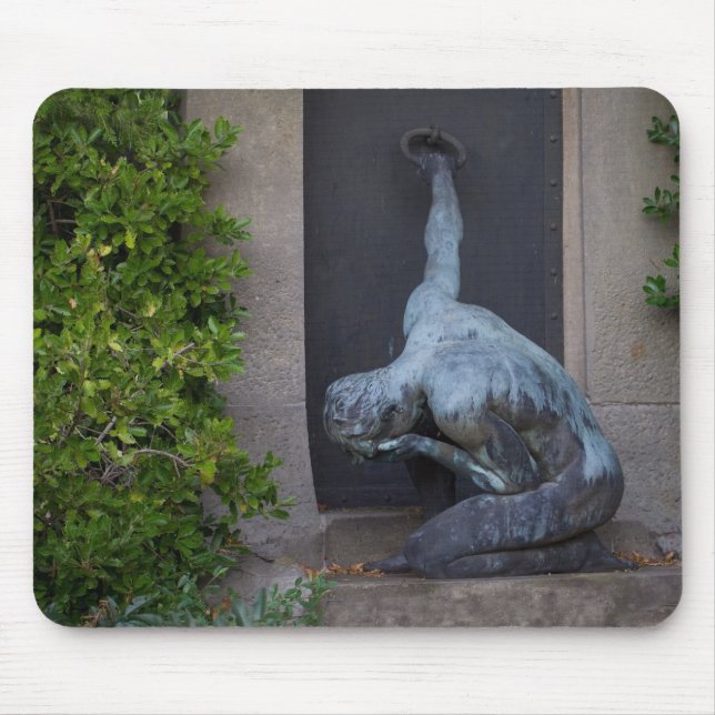 Alfombrilla De Ratón Desesperado (Frente)