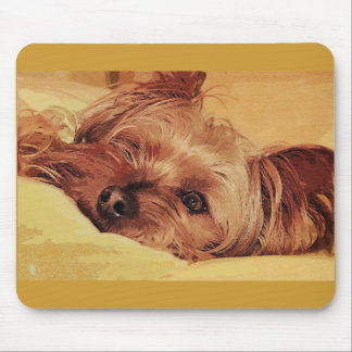 Alfombrilla De Ratón deslumbramiento del perro