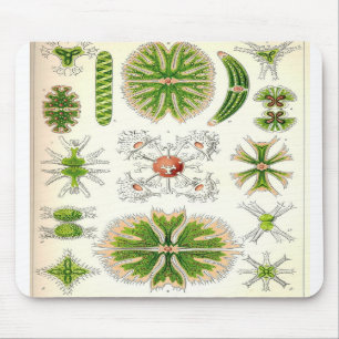 Alfombrilla De Ratón Desmid Mousepad