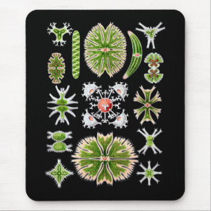 Alfombrilla De Ratón Desmids
