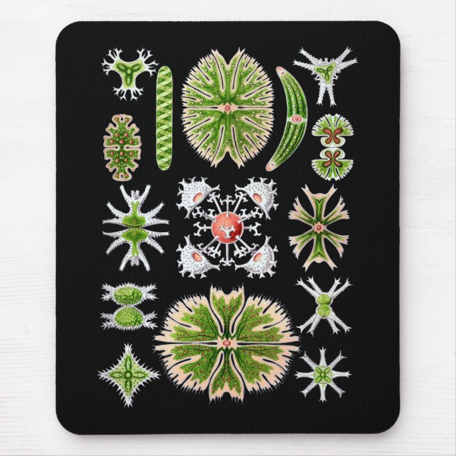 Alfombrilla De Ratón Desmids (Frente)