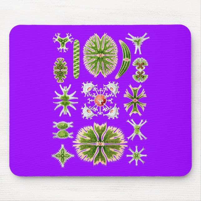 Alfombrilla De Ratón Desmids (Frente)