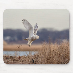 Alfombrilla De Ratón Despegando lechuza