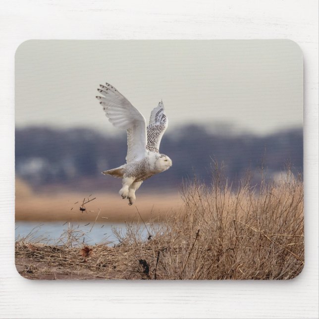 Alfombrilla De Ratón Despegando lechuza (Frente)