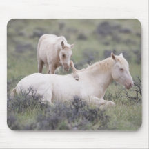 Despierta Hermano Mousepad