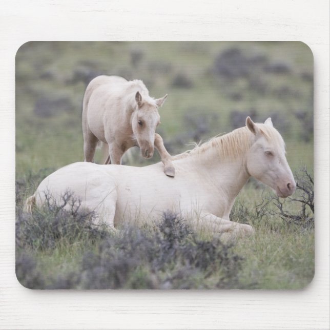 Alfombrilla De Ratón Despierta Hermano Mousepad (Frente)