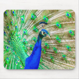 Alfombrilla De Ratón Desplome de pavo real