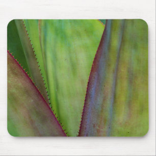 Alfombrilla De Ratón Detalle de la planta de agave