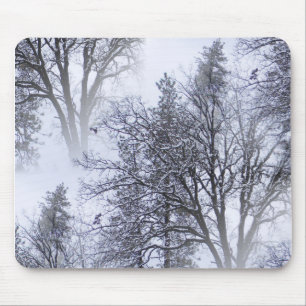 Alfombrilla De Ratón Día de nieve en los árboles.