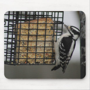 Alfombrilla De Ratón Diafilopatía