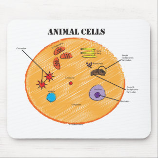 Alfombrilla De Ratón Diagrama animal de la célula