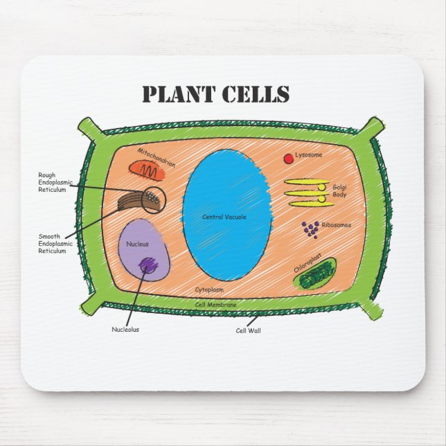 Alfombrilla De Ratón Diagrama de la célula de la planta (Frente)