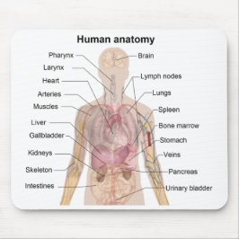 Alfombrilla De Ratón Diagrama de la sombra de la anatomía humana