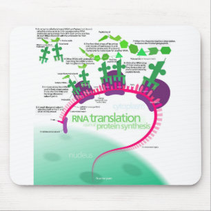 Alfombrilla De Ratón Diagrama de síntesis de proteínas de la traducción