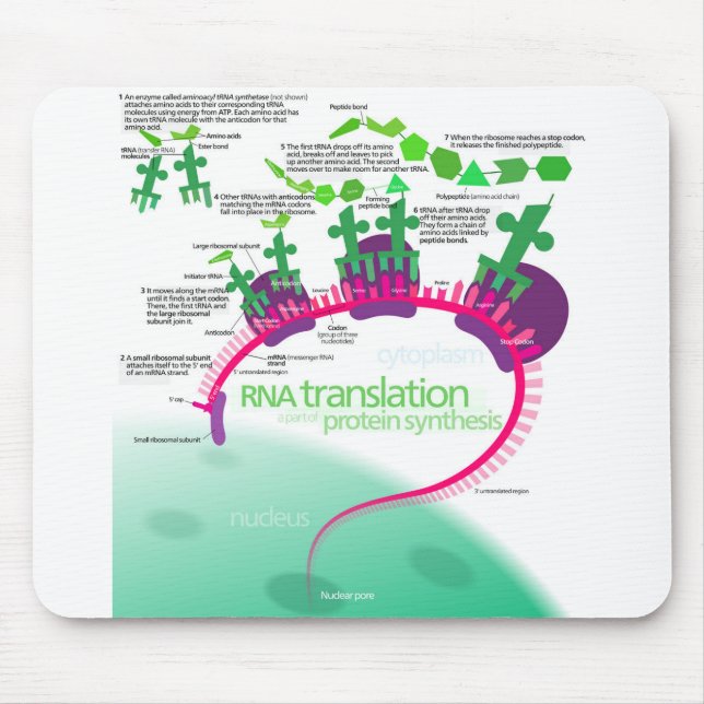 Alfombrilla De Ratón Diagrama de síntesis de proteínas de la traducción (Frente)