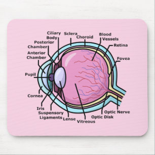 Alfombrilla De Ratón Diagrama del Ojo