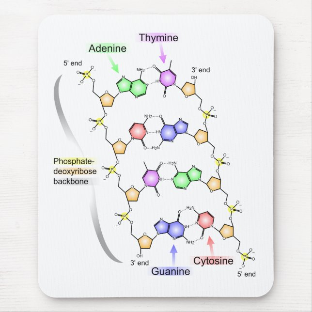 Alfombrilla De Ratón Diagrama detallado de la estructura química de la (Frente)