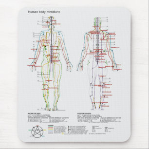 Alfombrilla De Ratón Diagrama esquemático de los meridianos del cuerpo