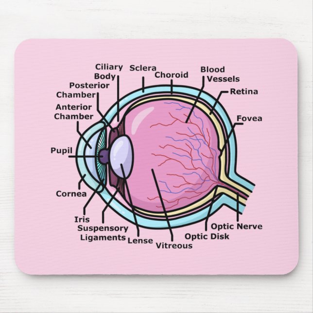 Alfombrilla De Ratón Diagrama ocular (Frente)