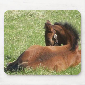 Alfombrilla De Ratón Días perezosos