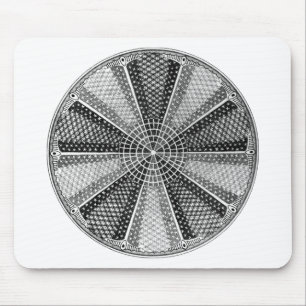 Alfombrilla De Ratón Diatom 13 Ernst Haeckel Bella Artes