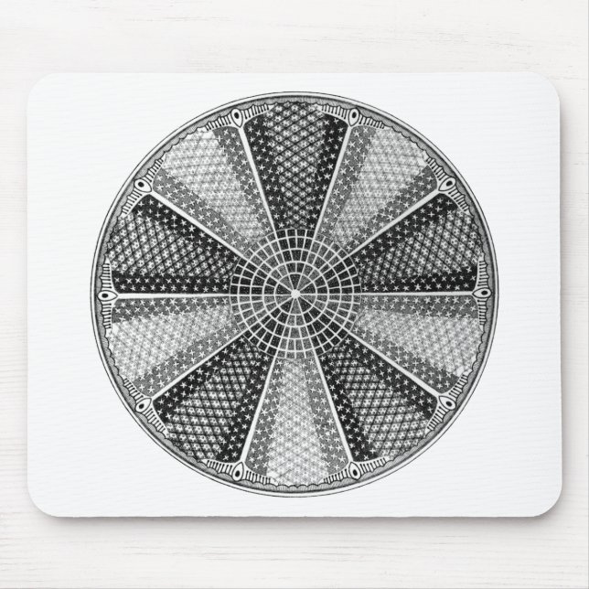 Alfombrilla De Ratón Diatom 13 Ernst Haeckel Bella Artes (Frente)